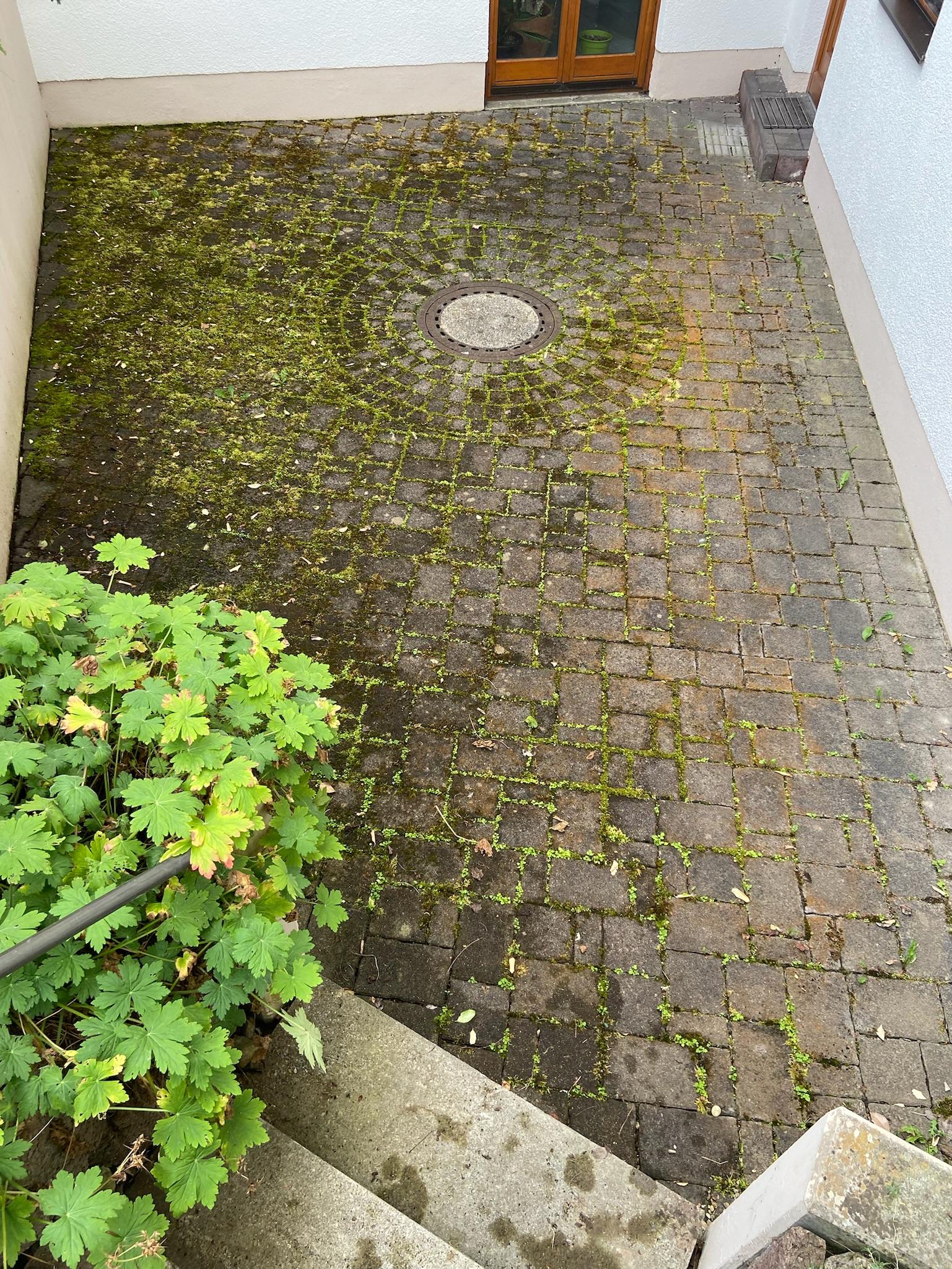 Betonsteinreinigung Vorher